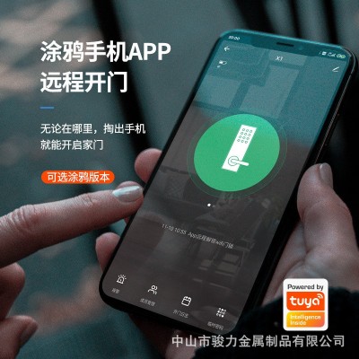 外贸批发室内门锁现代简约木门公寓涂鸦智能电子门锁密码锁指纹锁图2