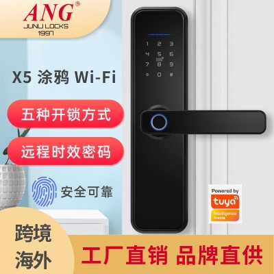 外贸批发室内门锁现代简约木门公寓涂鸦智能电子门锁密码锁指纹锁