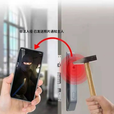 人脸识别智能锁全自动指纹家用防盗门电子大门锁入户门密码锁监控图4