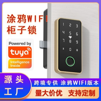 涂鸦WIFI鞋柜指纹柜子储物柜桑拿锁抽屉指纹锁门口办公室铁皮柜锁