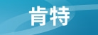 上海肯特仪表股份有限公司