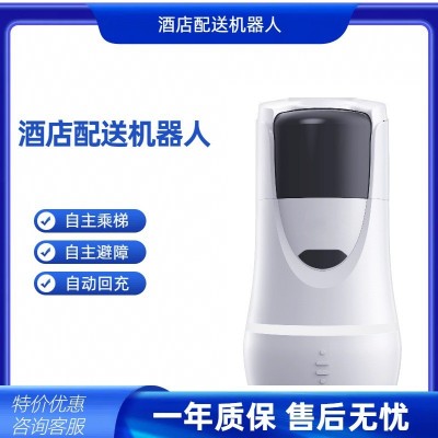 酒店智能配送迎宾二合一送物智能机器人 酒店送外卖送水机器人    2套