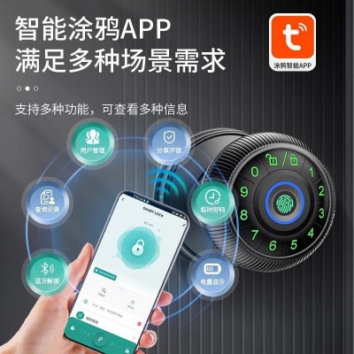 跨境指纹球形锁专供亚马逊指纹密码涂鸦蓝牙球形锁智能球锁新品图4