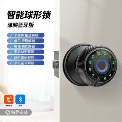 跨境指纹球形锁专供亚马逊指纹密码涂鸦蓝牙球形锁智能球锁新品图2