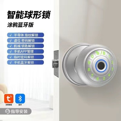 跨境指纹球形锁专供亚马逊指纹密码涂鸦蓝牙球形锁智能球锁新品图3