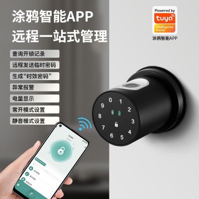爆款跨境指纹密码锁 涂鸦智能锁 卧室房间分体门锁办公室球形锁图3