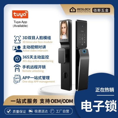 南美洲跨境厂家直销指纹锁涂鸦远程管理入户智能锁人脸识别锁图3