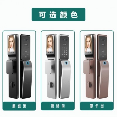 南美洲跨境厂家直销指纹锁涂鸦远程管理入户智能锁人脸识别锁图4