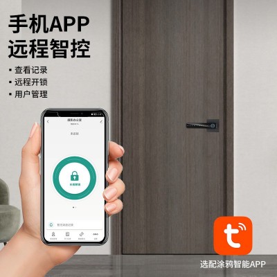 美式密码指纹锁刷卡远程蓝牙锁专供外贸涂鸦通通公寓酒店房 门木门图2