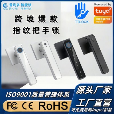 美式密码指纹锁刷卡远程蓝牙锁专供外贸涂鸦通通公寓酒店房 门木门图3