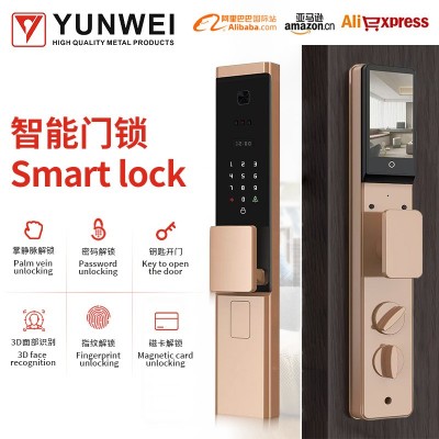 跨境防水指纹锁密码锁人脸识别家用涂鸦电子锁远程高品质智能锁图1
