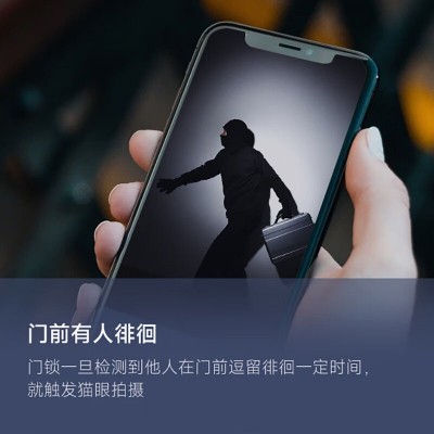 玥玛智能门锁3d人脸防盗门指纹密码锁智能家用全自动带监控摄像头图5
