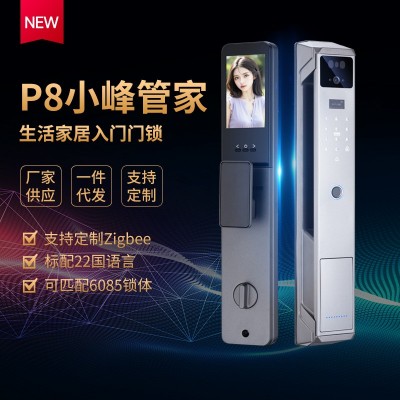 跨境电商猫眼智能锁家用指纹密码锁智能门锁可WIFI远程开锁批发