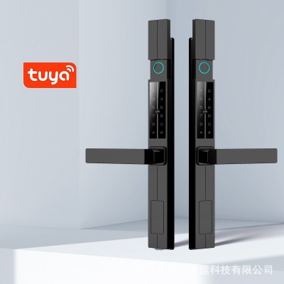 剑芯别墅庭院栅栏断桥铝智能指纹密码电子锁户外防水推拉大铁门锁图2