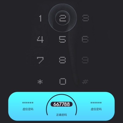 跨境多国语音涂鸦WiFi室内木门智能电子密码锁公寓办公室指纹锁图1