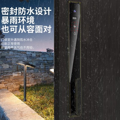 防水精雕别墅指纹锁家用防盗门人脸识别可视对讲涂鸦连网锁密码锁图3