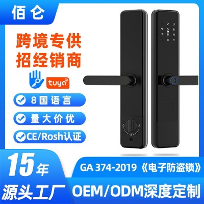 跨境专供涂鸦智能锁木门指纹智能门锁酒店公寓家用密码防盗门锁