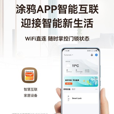 跨境专供涂鸦智能锁木门指纹智能门锁酒店公寓家用密码防盗门锁图3
