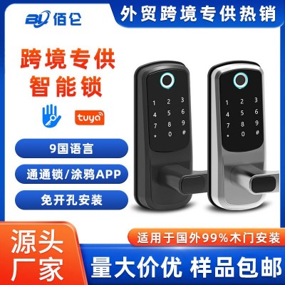 欧美外贸单舌指纹锁室内木门免开孔通通涂鸦智能门锁密码锁厂家