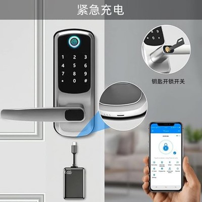 欧美外贸单舌指纹锁室内木门免开孔通通涂鸦智能门锁密码锁厂家图2