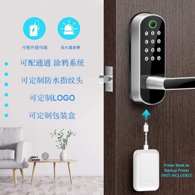 定制通通锁TTLOCK密码锁远程APP蓝牙家用公寓指纹锁 WIFI智能门锁图2