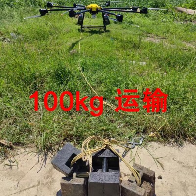 咆哮者H 200 100 kg 运输无人机图4