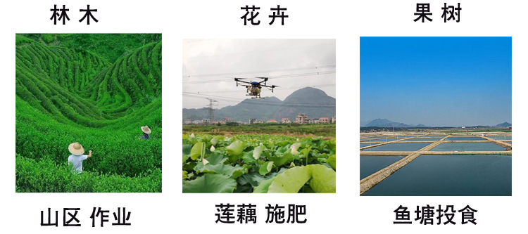未标题-1_03