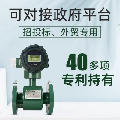 锐凌 智能电磁流量计管道分体一体式防腐dn50/100LDG 电磁流量计图4
