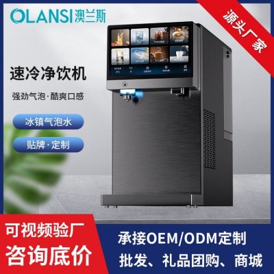 冰镇气泡水净饮机家用台式免安装管线双模式反渗透智能直饮净水器图2