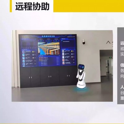穿山甲小鱼智能迎宾酒店商务接待展厅讲解语音交互娱乐服务机器人图2