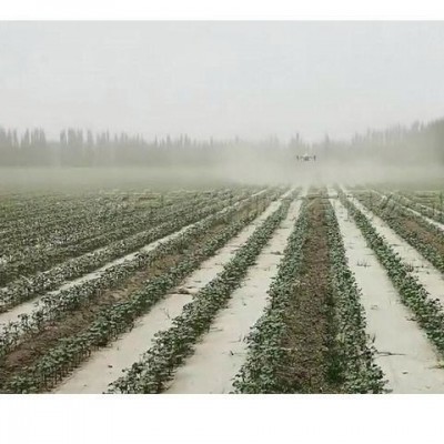 植保无人机 农林植物全自动喷洒机 农用瓜果蔬菜遥控药剂喷药机图5