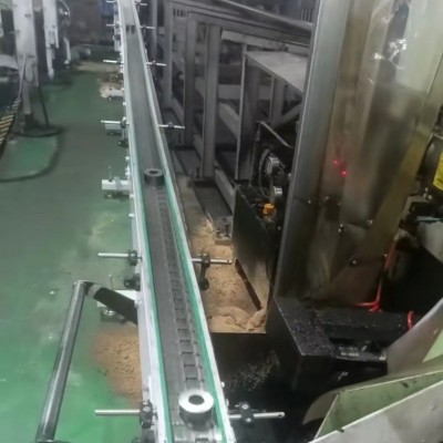 不锈钢链板输送机