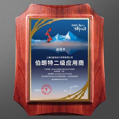 厂家供应伯朗特5轴工业机器人自动供应批发小型独立站转台图5