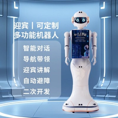 智能人形讲解接待带领导览迎宾机器人导购语音对话商用科技馆展馆