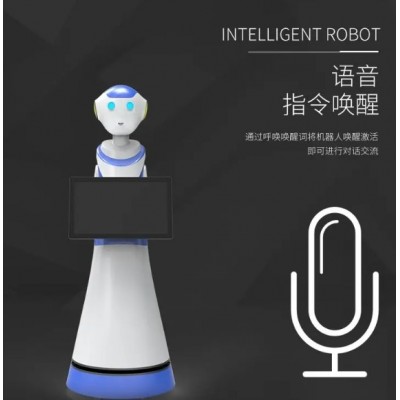 卡伊瓦-学校 医院 银行 政务大厅人脸识别自主迎宾机器人讲解接待图5