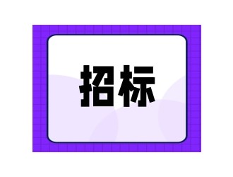 滨和德馨府项目二标段弱电智能化工程招标公告