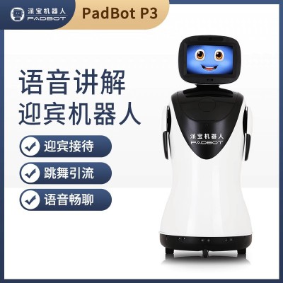 迎宾机器人P3 智能迎宾接待语音讲解咨询交互唱歌跳舞