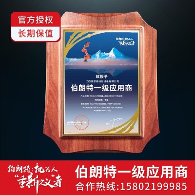 龙恩伯朗特批发供应工业全自动机器人自动多功能机械臂上下料图2