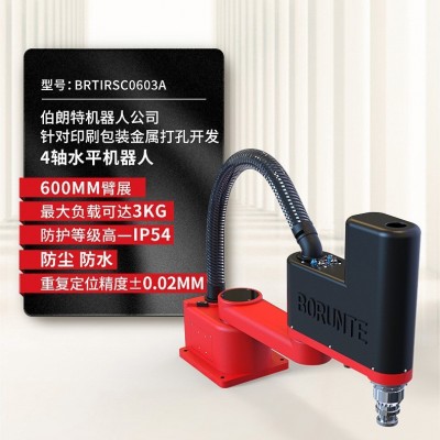 龙恩伯朗特批发供应工业全自动机械人自动金属打孔机械臂机床0603