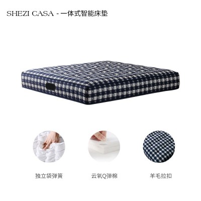 家具智能床垫家用高端软床垫电动全自动多功能升降双人零重力图5
