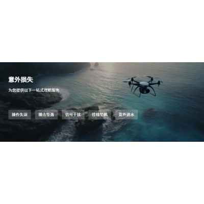 意外损失