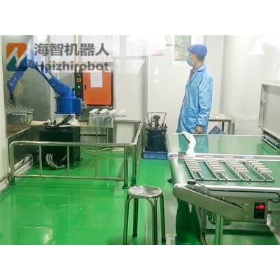 自动喷涂机器人 海智转台喷涂机械手设备HZP1600-9图2