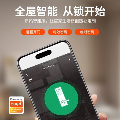 智能锁木门指纹锁涂鸦通通app办公室公寓密码房间卧室刷卡指纹锁图5