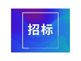 云南电网有限责任公司2025年保护专业二次智能运维设备及系统调试技术服务专项采购（公开招标）招标公告