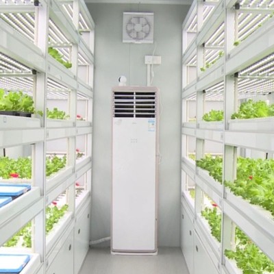 农业植物工厂定制无土栽培种植环境控制设施集装箱系统温控