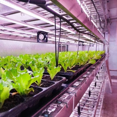 农业植物工厂定制无土栽培种植环境控制设施集装箱系统温控图3