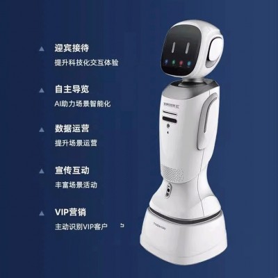 旺宝娇娇智能客服机器人儿童云服务智能语音对话服务机器人可租赁图2