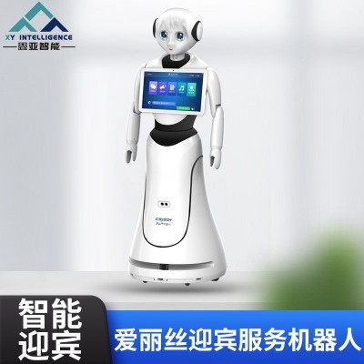 售楼部商场智能迎宾接待服务机器人 语音讲解远程导览服务机器人