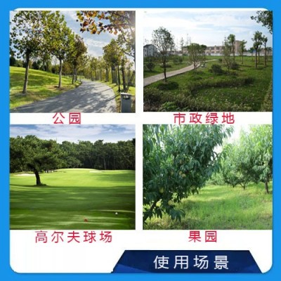 全地形履带式割草机器人 9马力割草机农林果园除草机农用设备图5