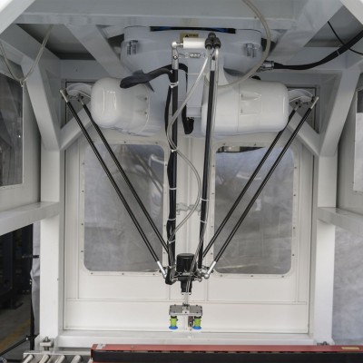 自动化视觉分拣抓取花生炒货装箱设备分类蜘蛛手机械手臂机器人图3